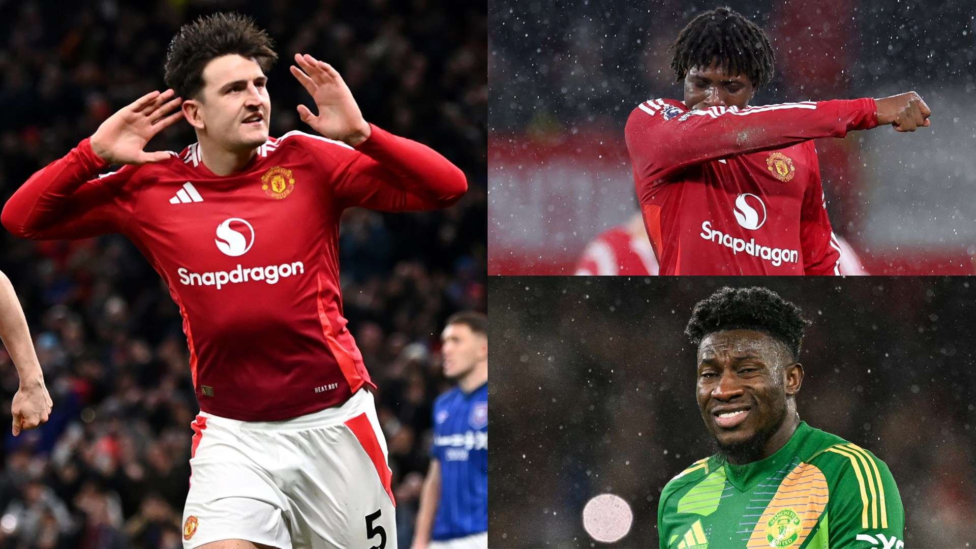 家人和伴侣 家人和伴侣